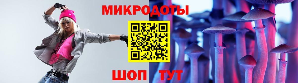 Галлюциногенные грибы Psilocybine cubensis  Вход с VPN  что такое   Ирбит 
